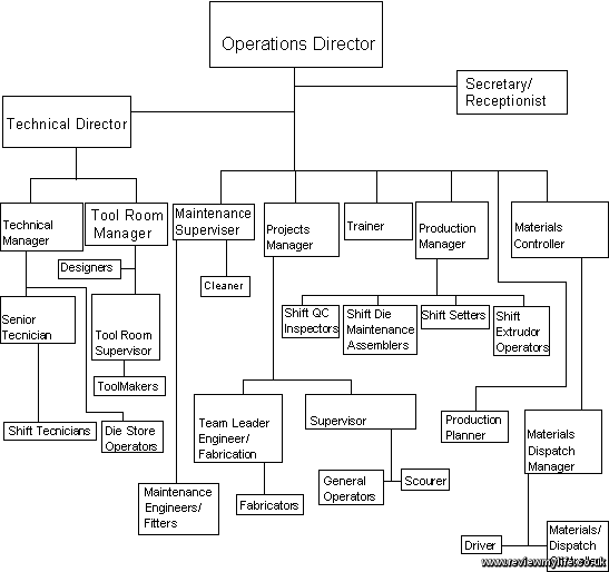 The company structure 