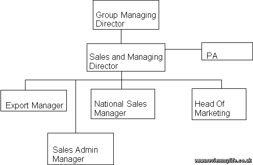 Sales team structure