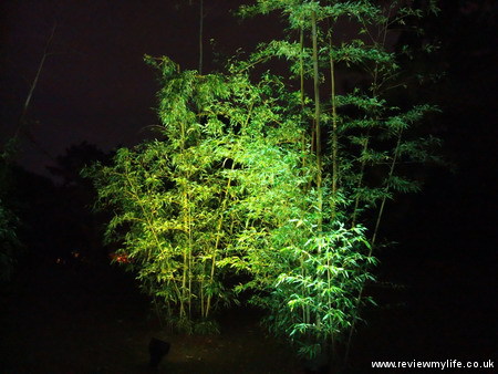 ritsurin gardens takamatsu at night 10