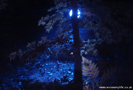 ritsurin gardens takamatsu at night 16